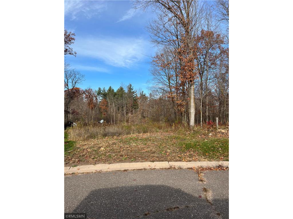 LOT 14 Wilderness Hills Lane Luck WI 54853 6808136 image1