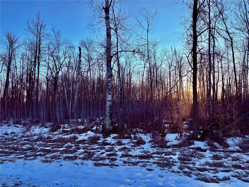 LOT 15 Hooper Creek Loop NW Baudette Twp MN 56623 - Hooper Creek 7000399 image7