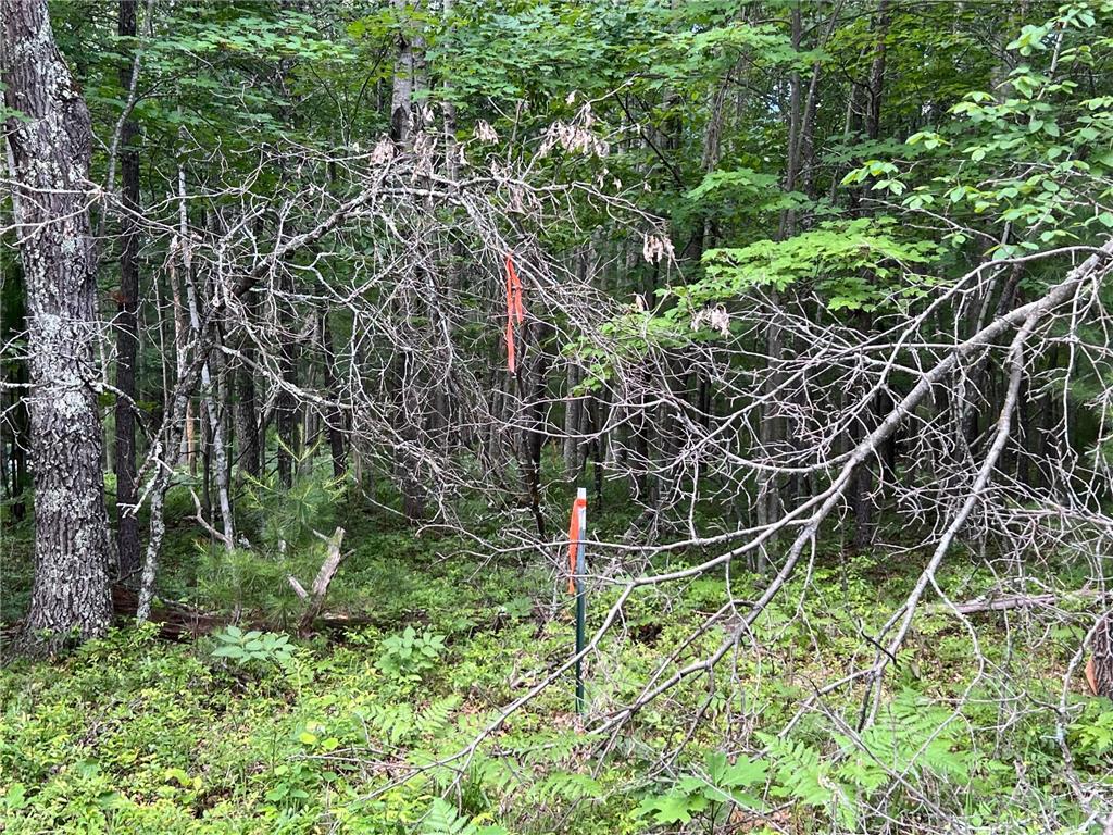 LOT 15 Loon Lake Road Jackson Twp WI 54830 7094653 image14