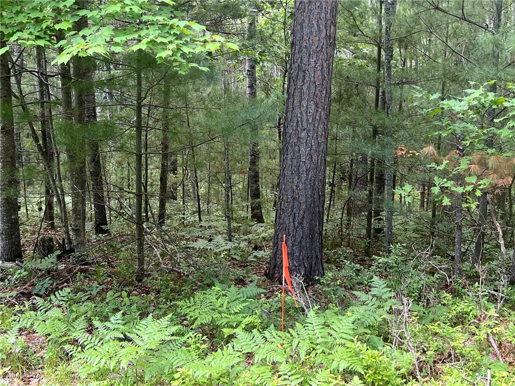 LOT 15 Loon Lake Road Jackson Twp WI 54830 7094653 image15