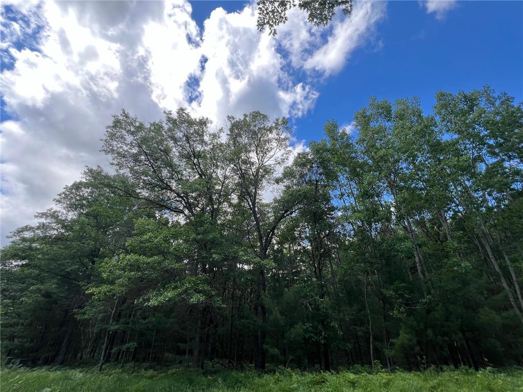 LOT 15 Loon Lake Road Jackson Twp WI 54830 7094653 image7