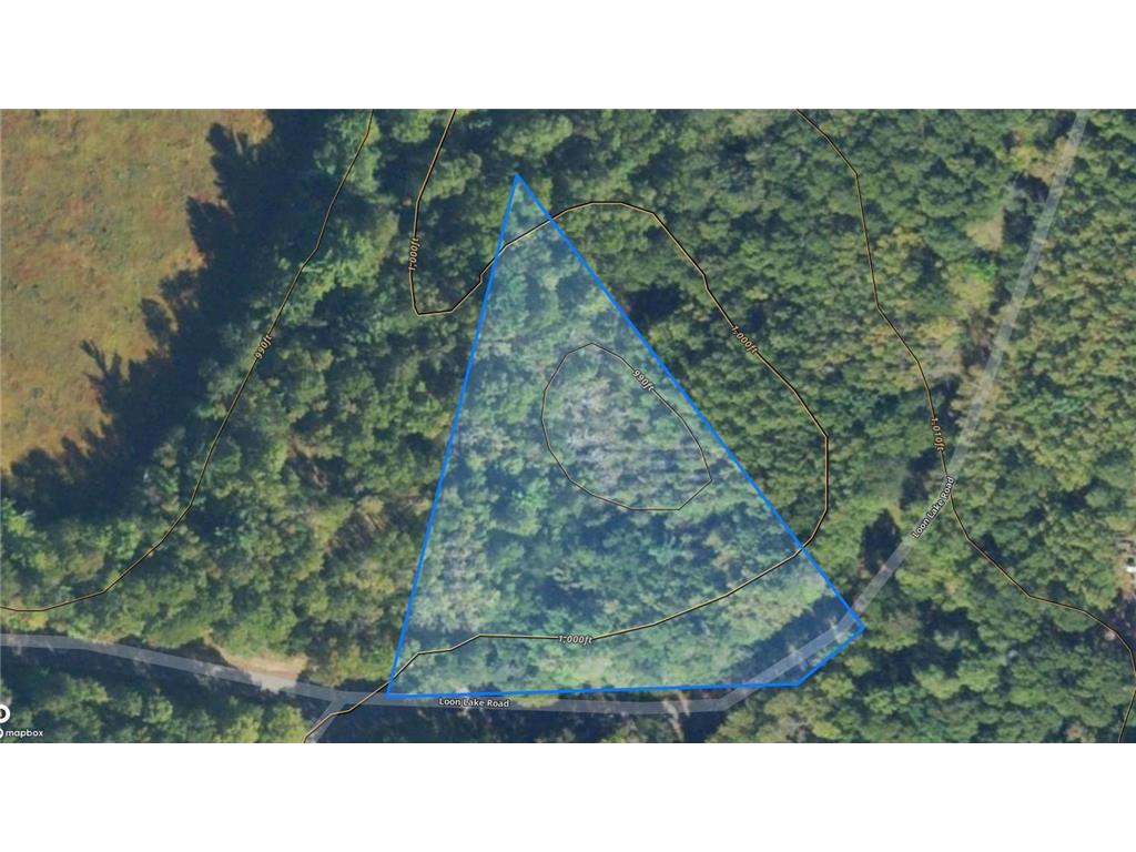LOT 15 Loon Lake Road Jackson Twp WI 54830 7094653 image8