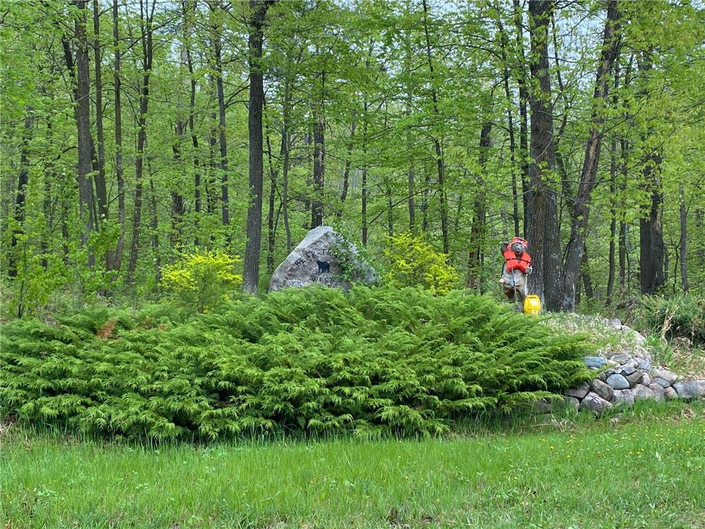 LOT 16 Bear Tract Lane NE Longville MN 56655 5760782 image1