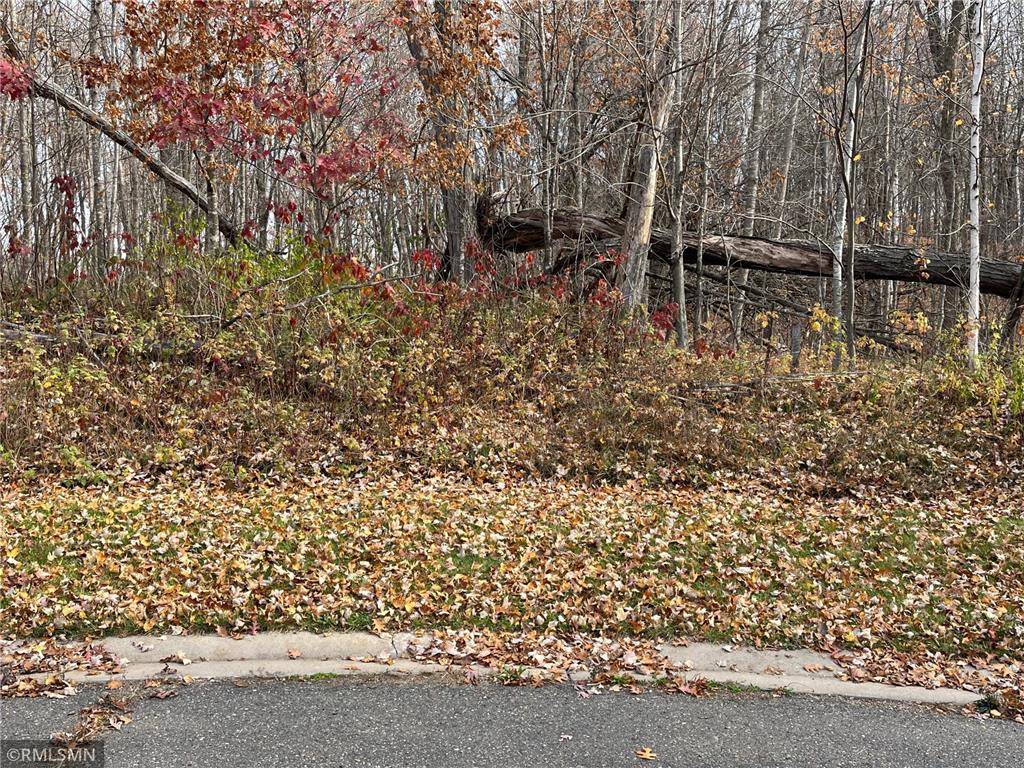 LOT 16 Wilderness Hills Lane Luck WI 54853 6808115 image2