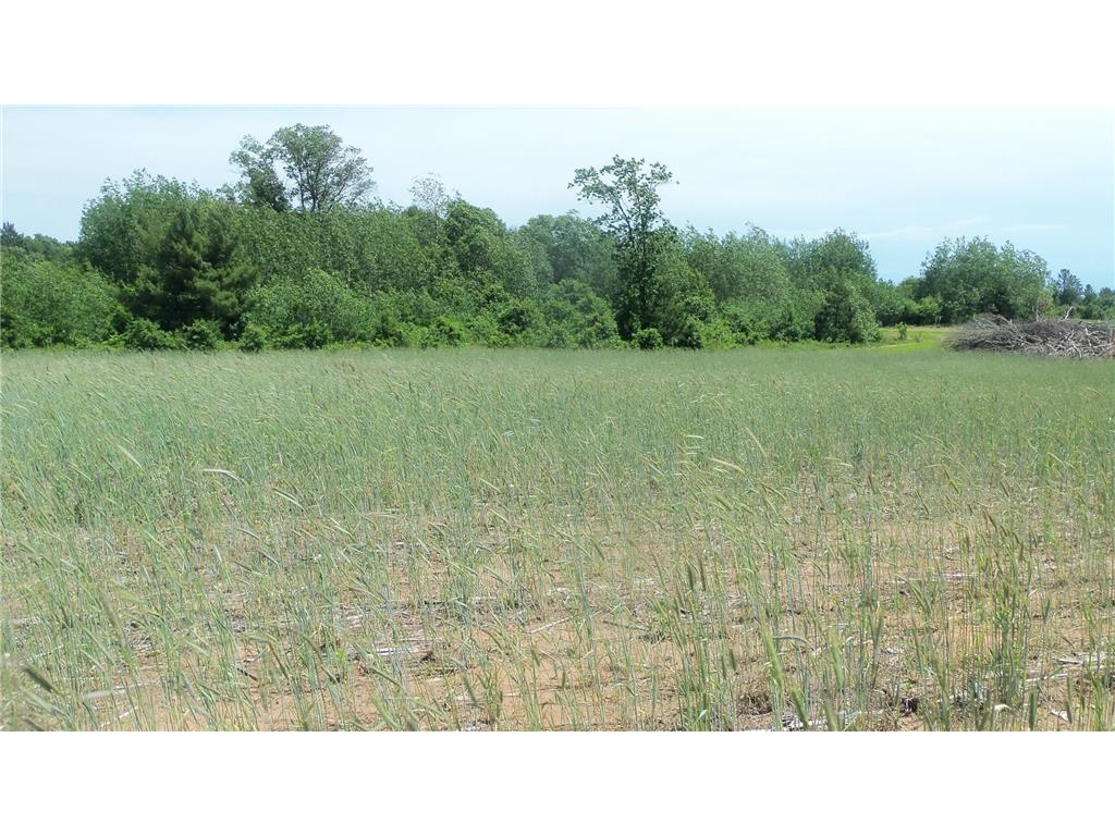 LOT 18 MAPLE LN Meenon Twp WI 54872 6580602 image3