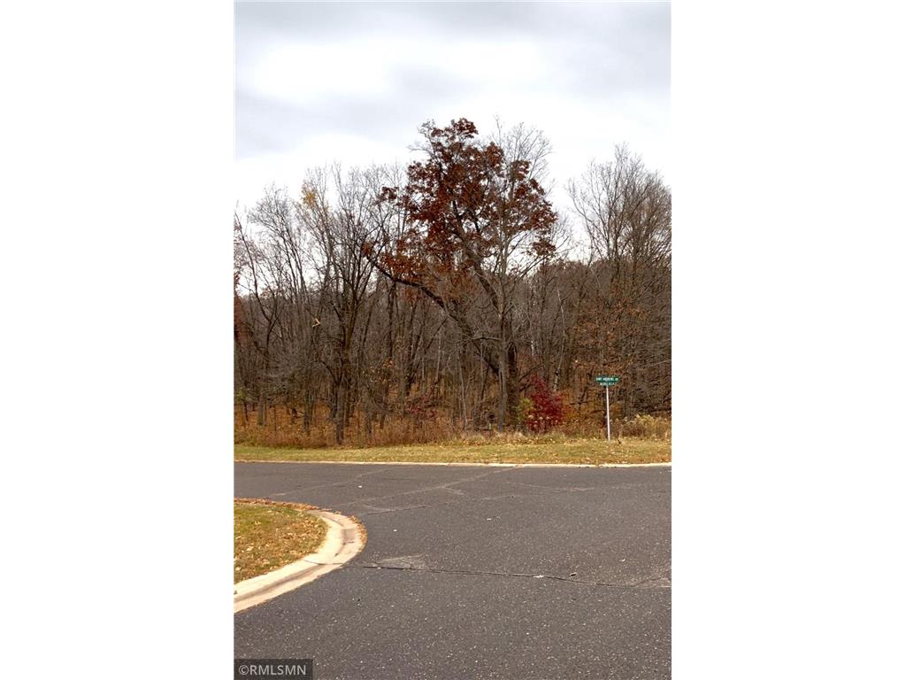 LOT 18 Wilderness Hills Lane Luck WI 54853 6809147 image1