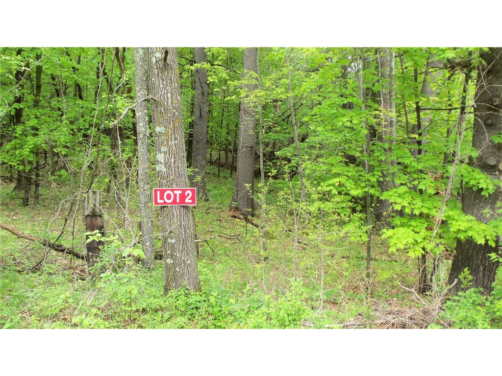 LOT 2 350TH AVE Frederic WI 54837 6205329 image1