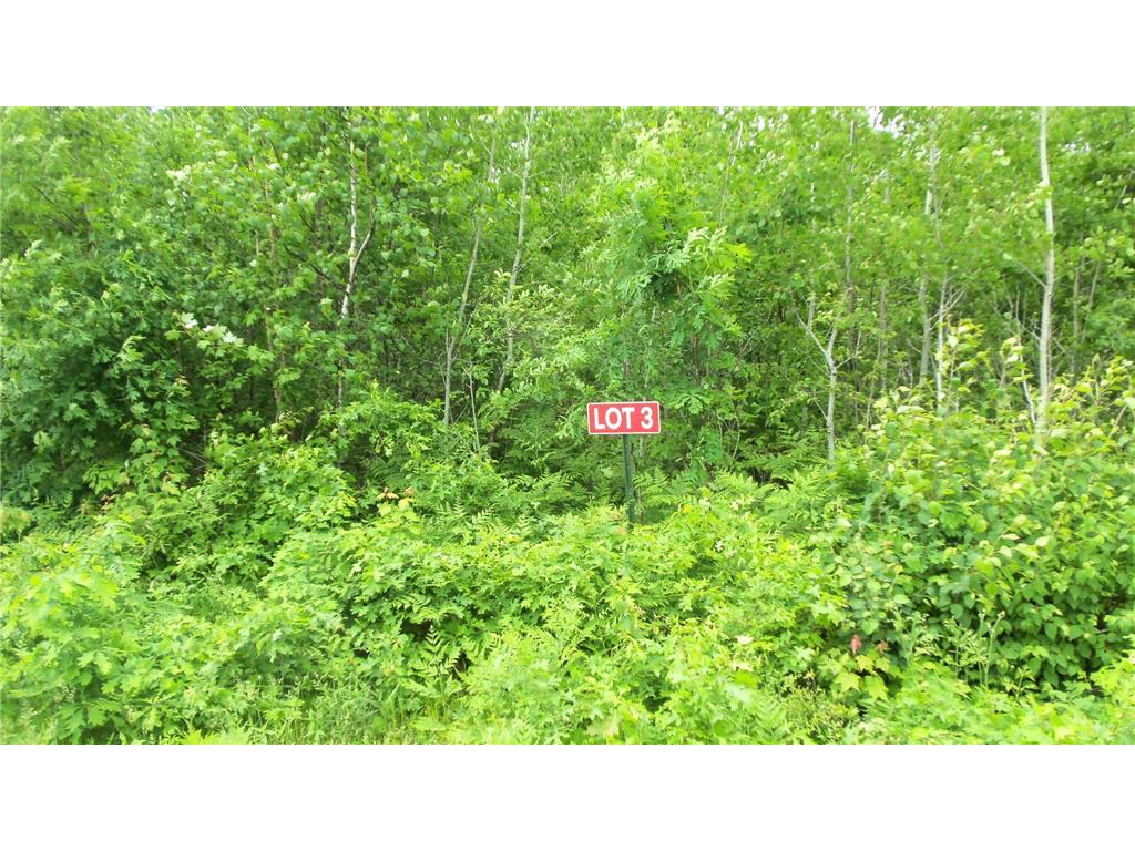 LOT 3 BEAVER DAM RD, Spooner, WI, 54801 MLS 6218456 Edina Realty