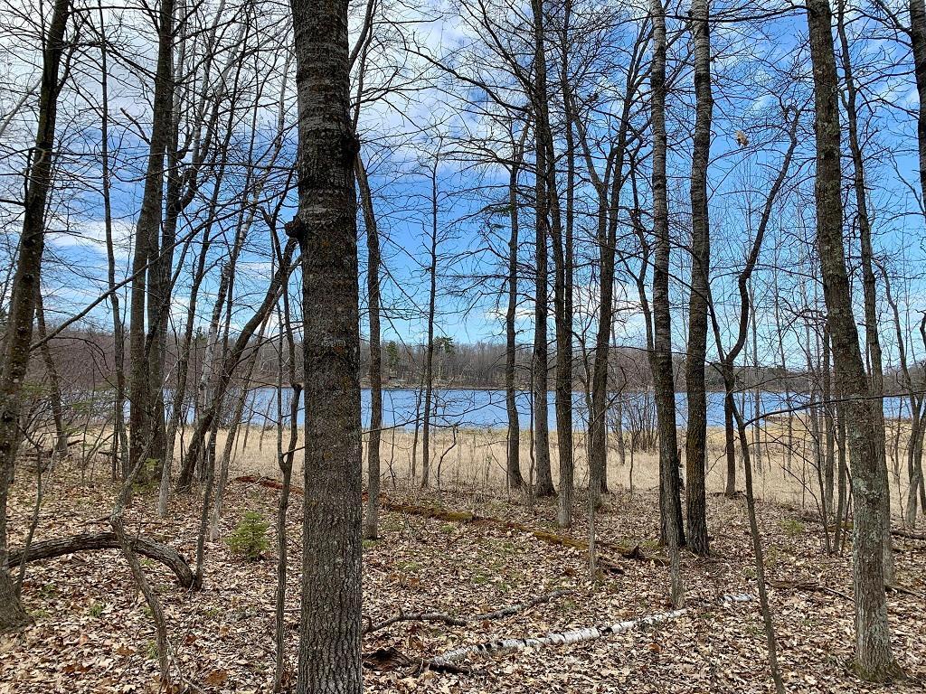 LOT 4 Woodtick Trail NW Hackensack MN 56452 - Moccasin 6505828 image3