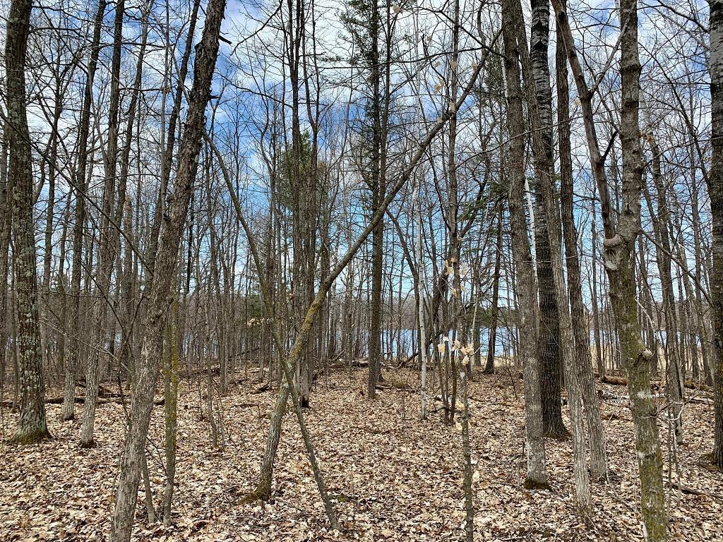 LOT 4 Woodtick Trail NW Hackensack MN 56452 - Moccasin 6505828 image7