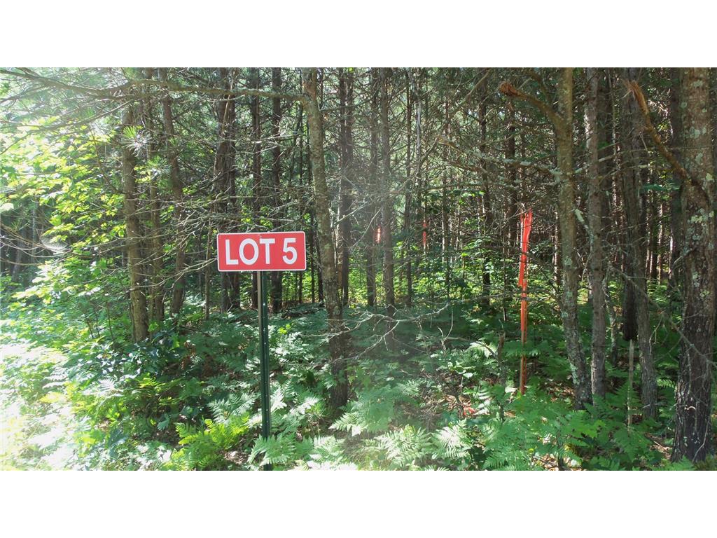 LOT 5 ASPEN RIDGE TRL Siren WI 54872 6576833 image1