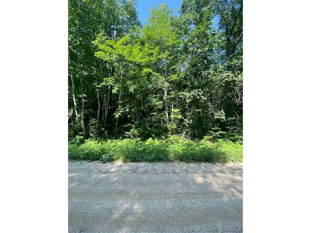 LOT 5 Iowana Beach Road Bena MN 56626 6414405 image1