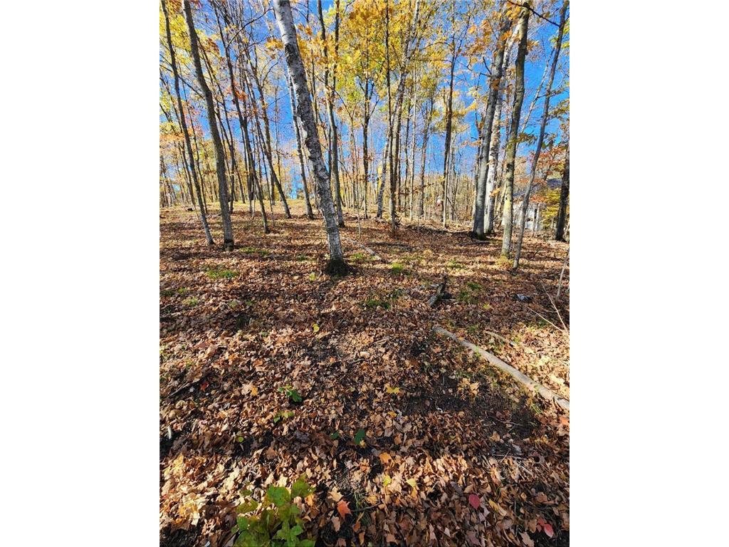 LOT 7 SW Pickerel Lake Road Detroit Lakes MN 56501 - Pickeral Lake 7011385 image1