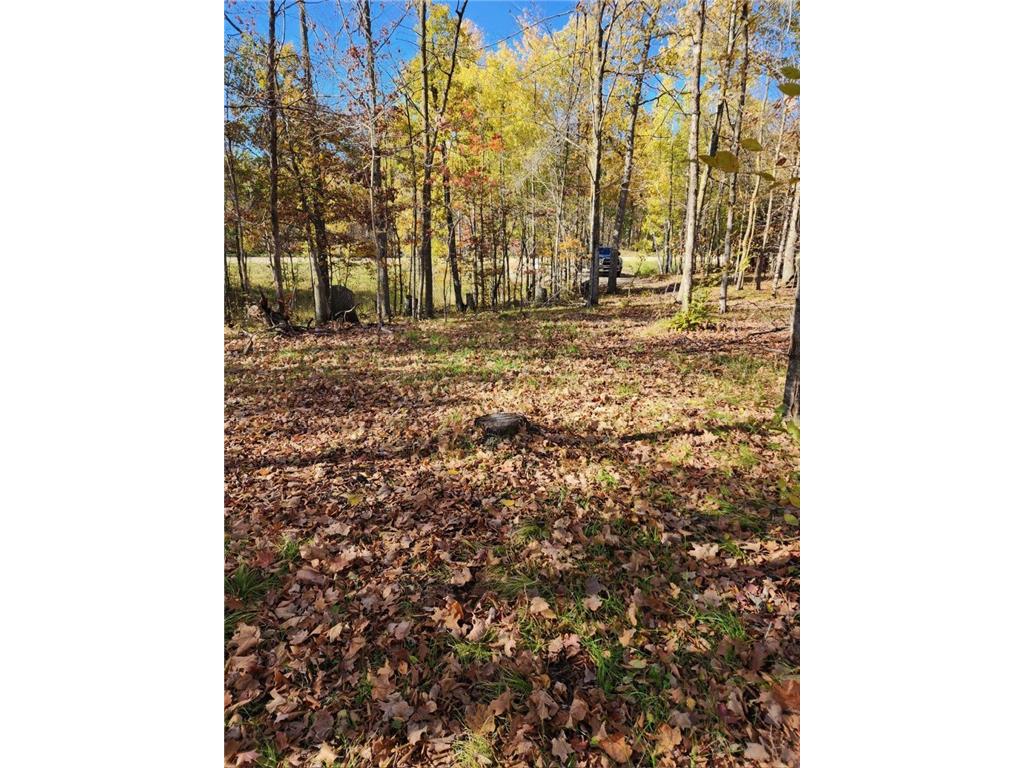 LOT 7 SW Pickerel Lake Road Detroit Lakes MN 56501 - Pickeral Lake 7011385 image2
