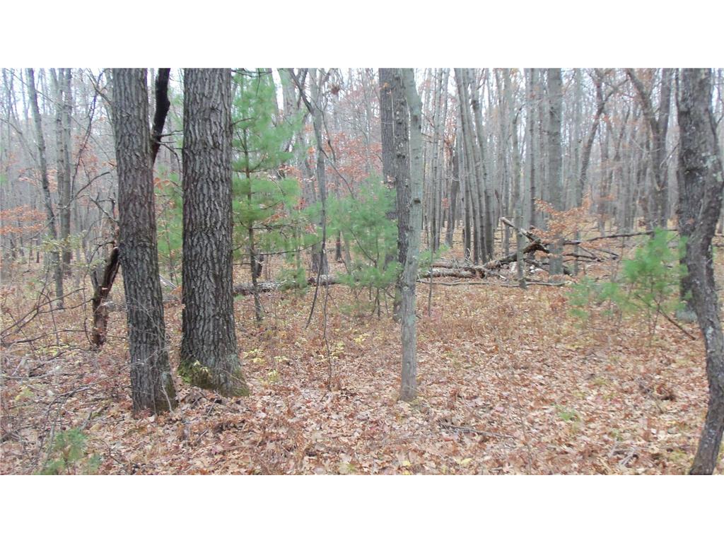 LOT 8 Herman Johnson Rd Siren Twp WI 54872 6815107 image3