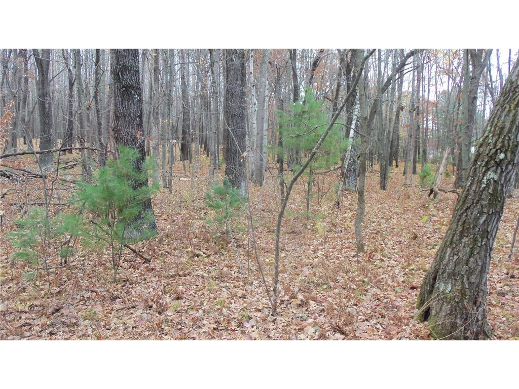 LOT 8 Herman Johnson Rd Siren Twp WI 54872 6815107 image4