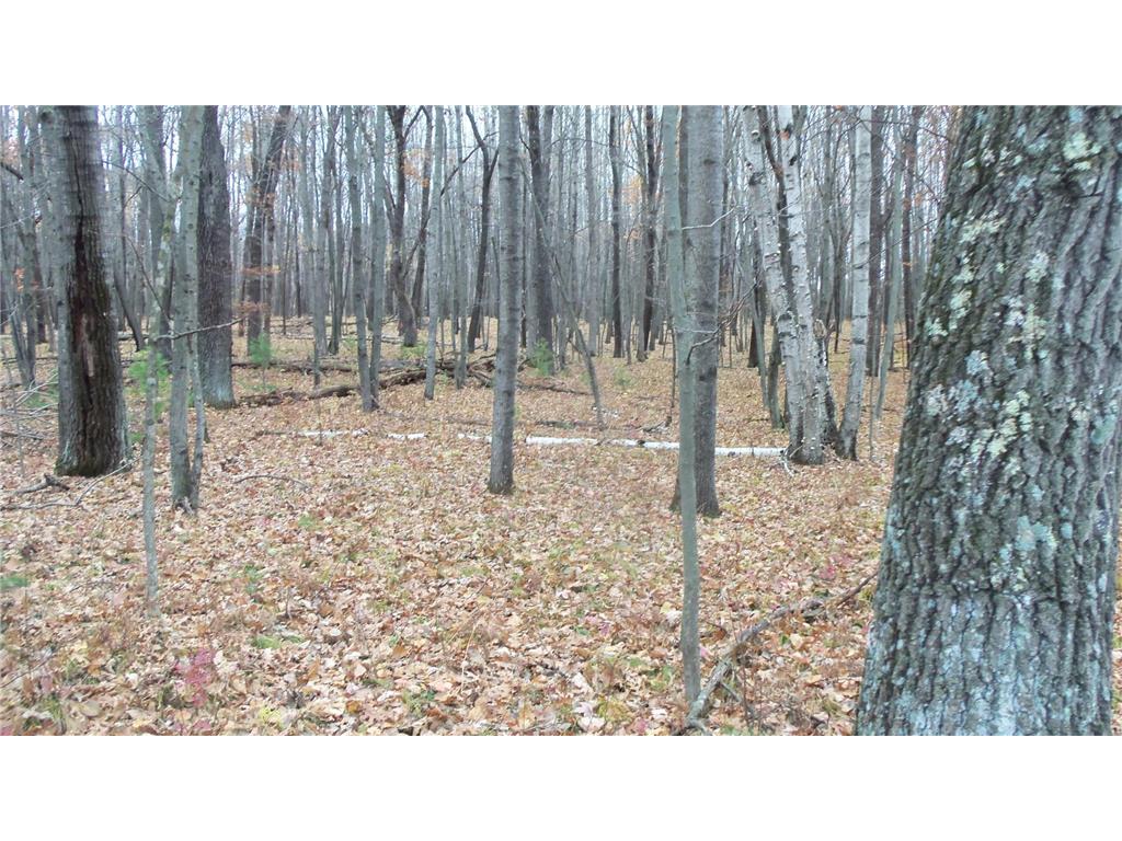 LOT 8 Herman Johnson Rd Siren Twp WI 54872 6815107 image5