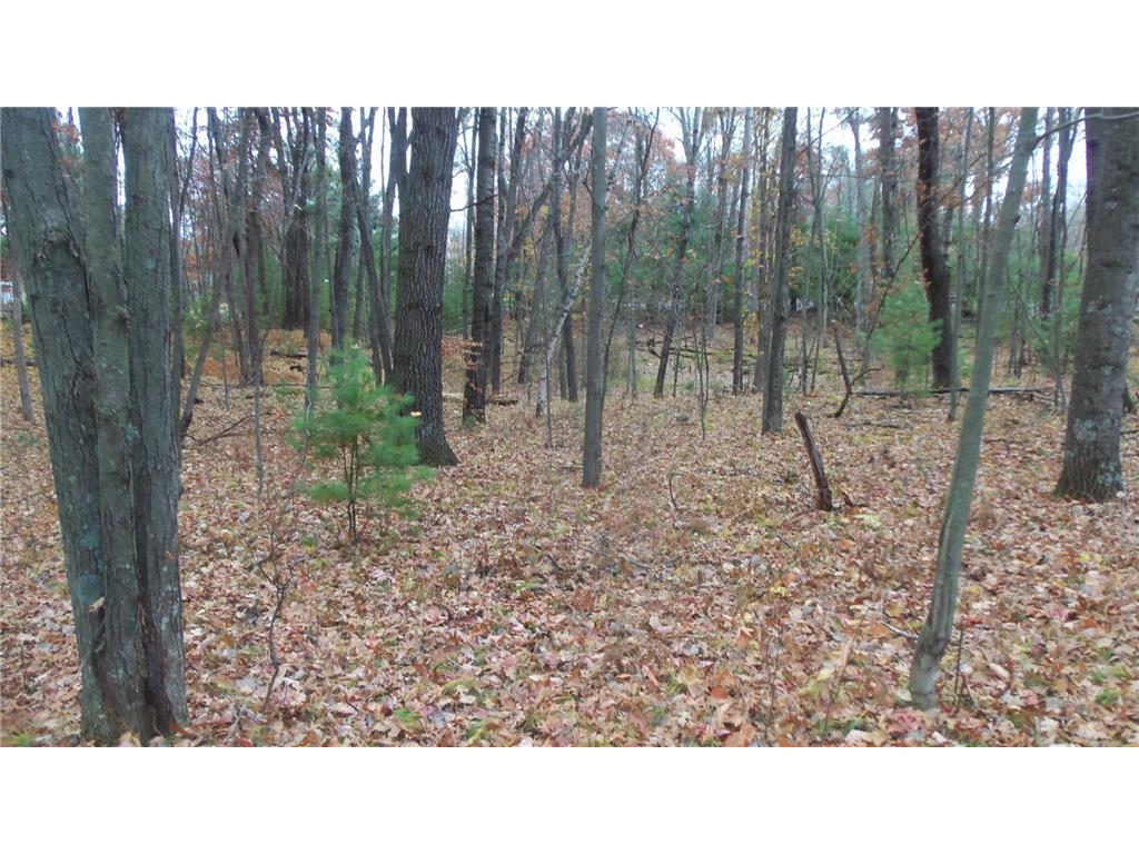 LOT 8 Herman Johnson Rd Siren Twp WI 54872 6815107 image6