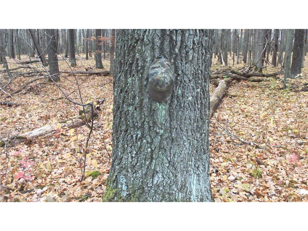 LOT 8 Herman Johnson Rd Siren Twp WI 54872 6815107 image7