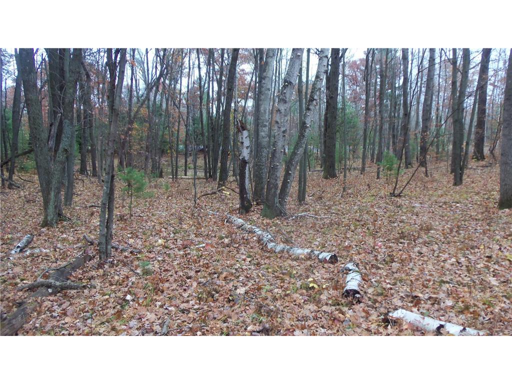 LOT 8 Herman Johnson Rd Siren Twp WI 54872 6815107 image8