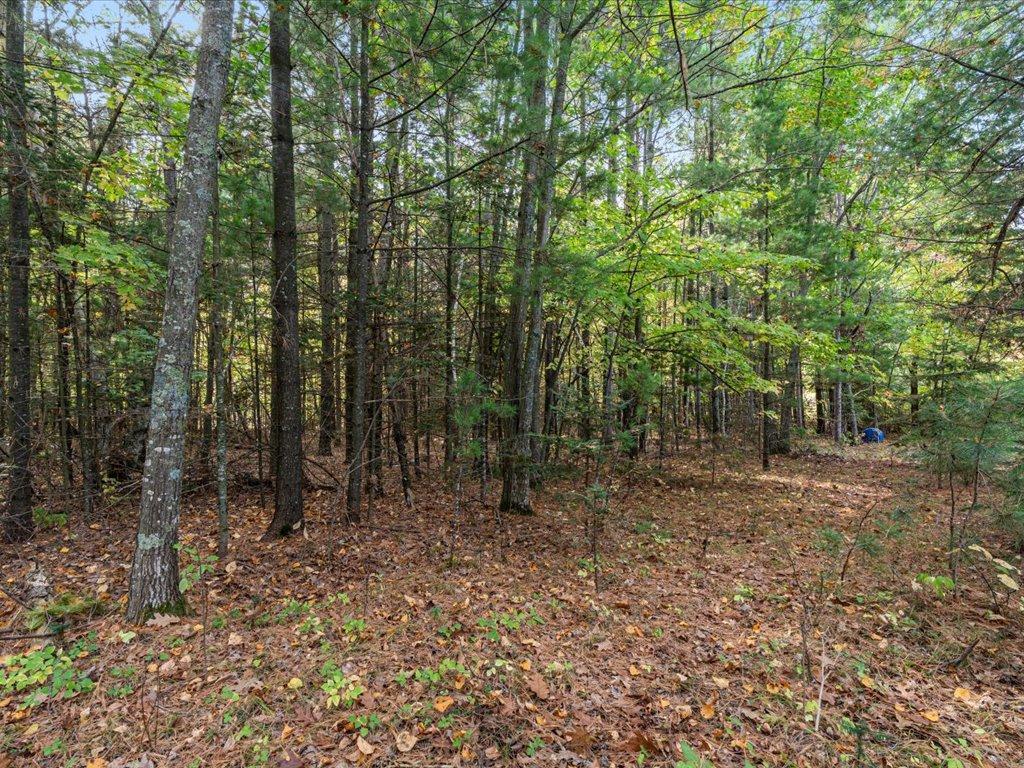 LOT A State Hwy 18 Garrison MN 56401 - Kenney 7028699 image7