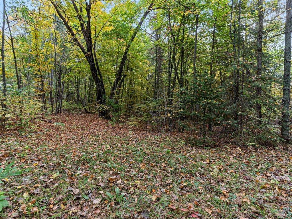 LOT A State Hwy 18 Garrison MN 56401 - Kenney 7028699 image8