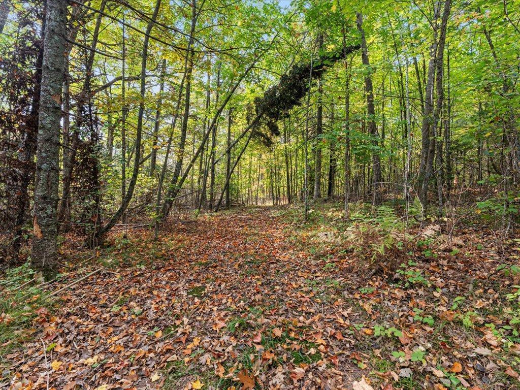 LOT A State Hwy 18 Garrison MN 56401 - Kenney 7028699 image9