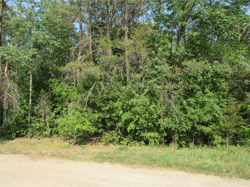LOTS 5-11 TBD FRONT STREE FRONT STREET Wilson Twp MN 56474 - Pine River 7091925 image3
