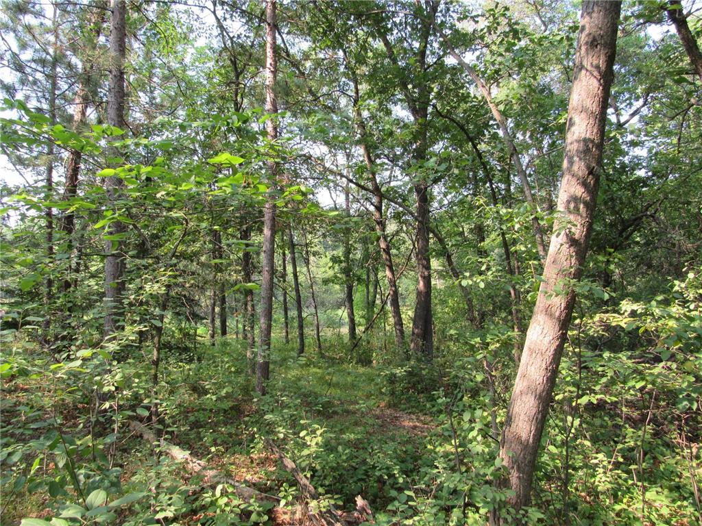 LOTS 5-11 TBD FRONT STREE FRONT STREET Wilson Twp MN 56474 - Pine River 7091925 image4