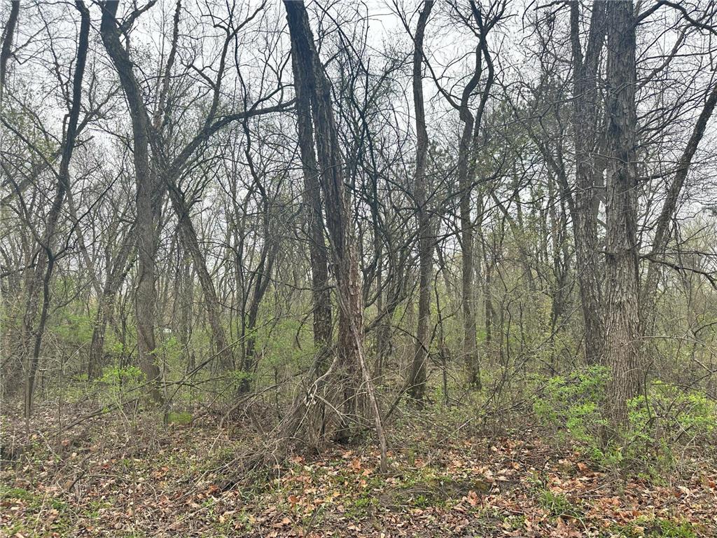 Lot 0 Catfish Drive Trempealeau WI 54661 7083877 image1