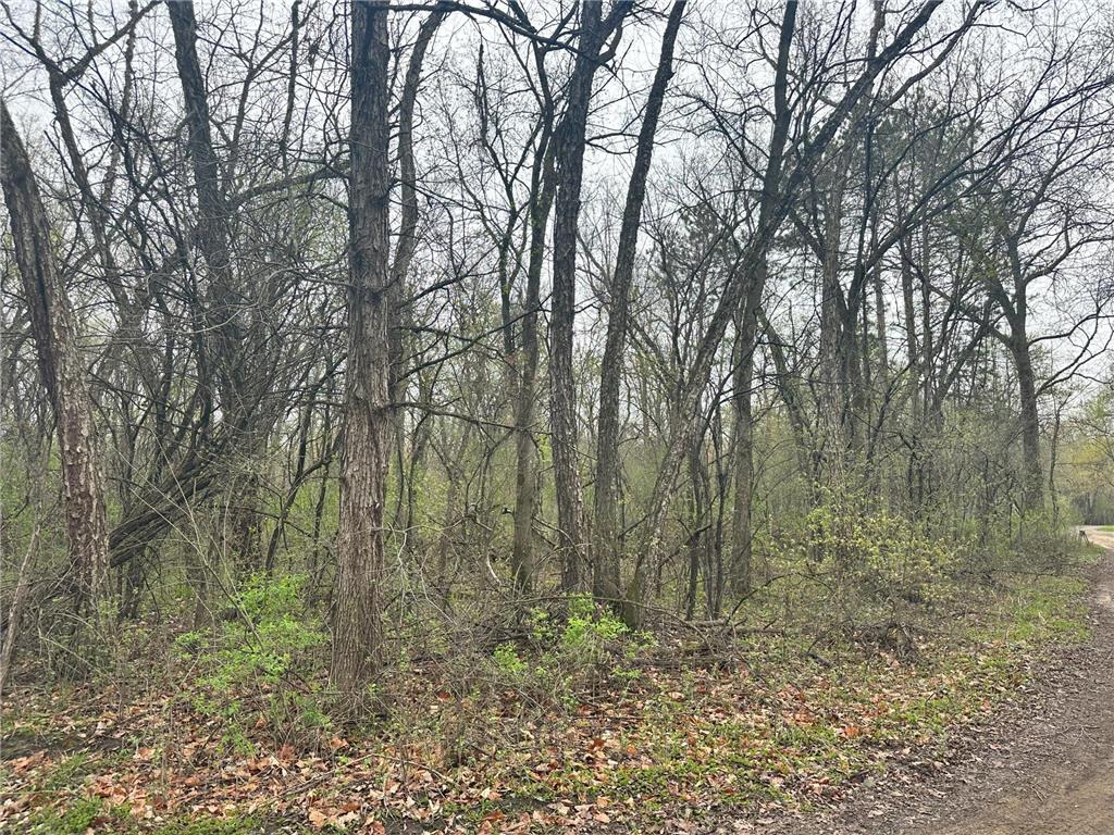 Lot 0 Catfish Drive Trempealeau WI 54661 7083877 image2
