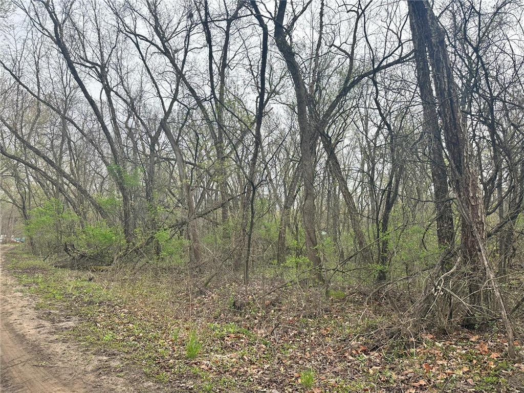 Lot 0 Catfish Drive Trempealeau WI 54661 7083877 image3
