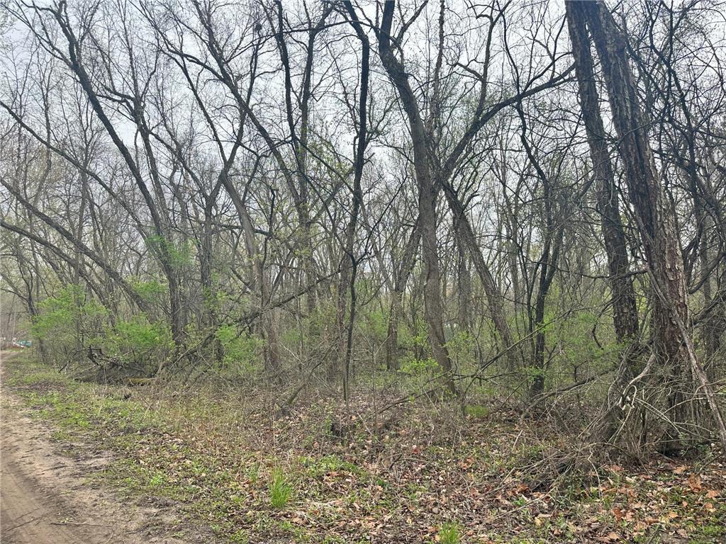 Lot 0 Catfish Drive Trempealeau WI 54661 7083877 image4