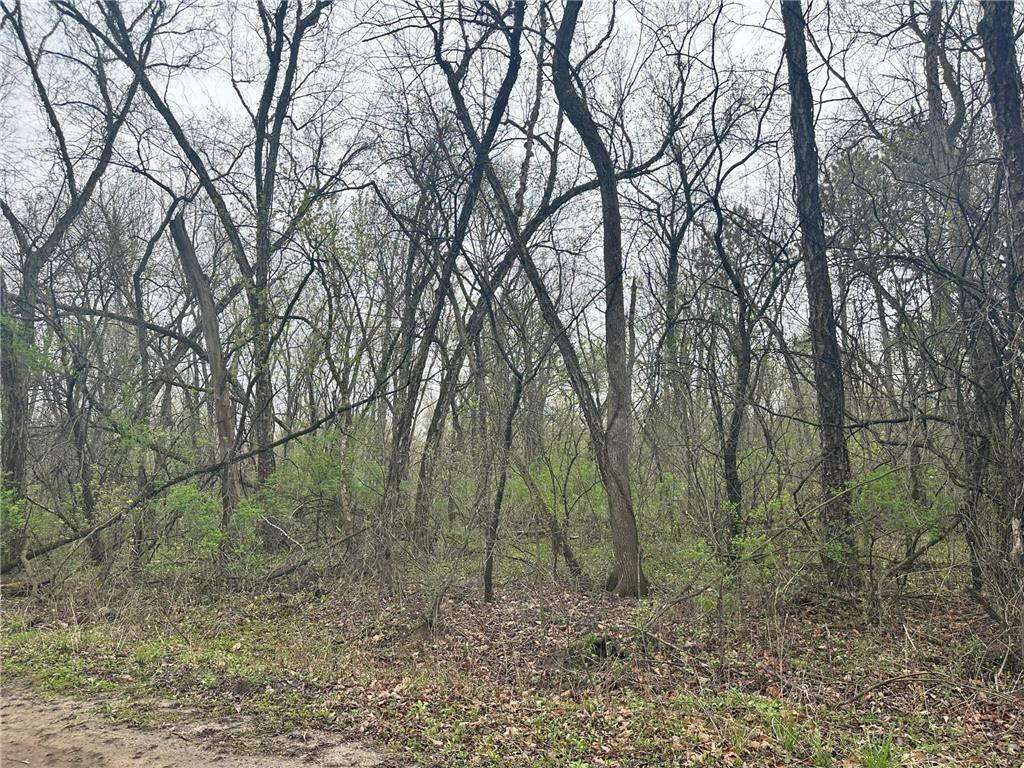 Lot 0 Catfish Drive Trempealeau WI 54661 7083877 image5