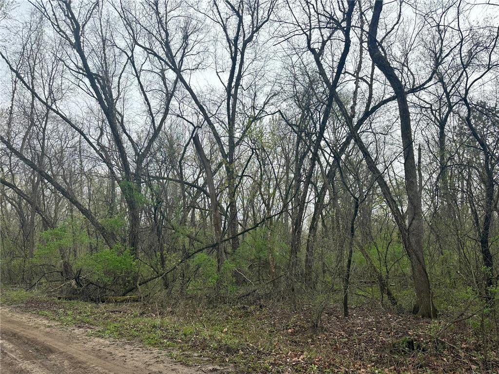 Lot 0 Catfish Drive Trempealeau WI 54661 7083877 image6