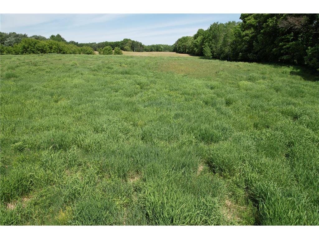Lot 1 11th Street Clayton WI 54004 7086317 image11