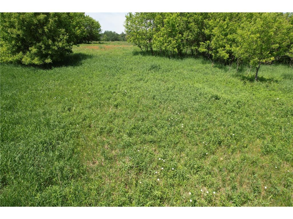 Lot 1 11th Street Clayton WI 54004 7086317 image4
