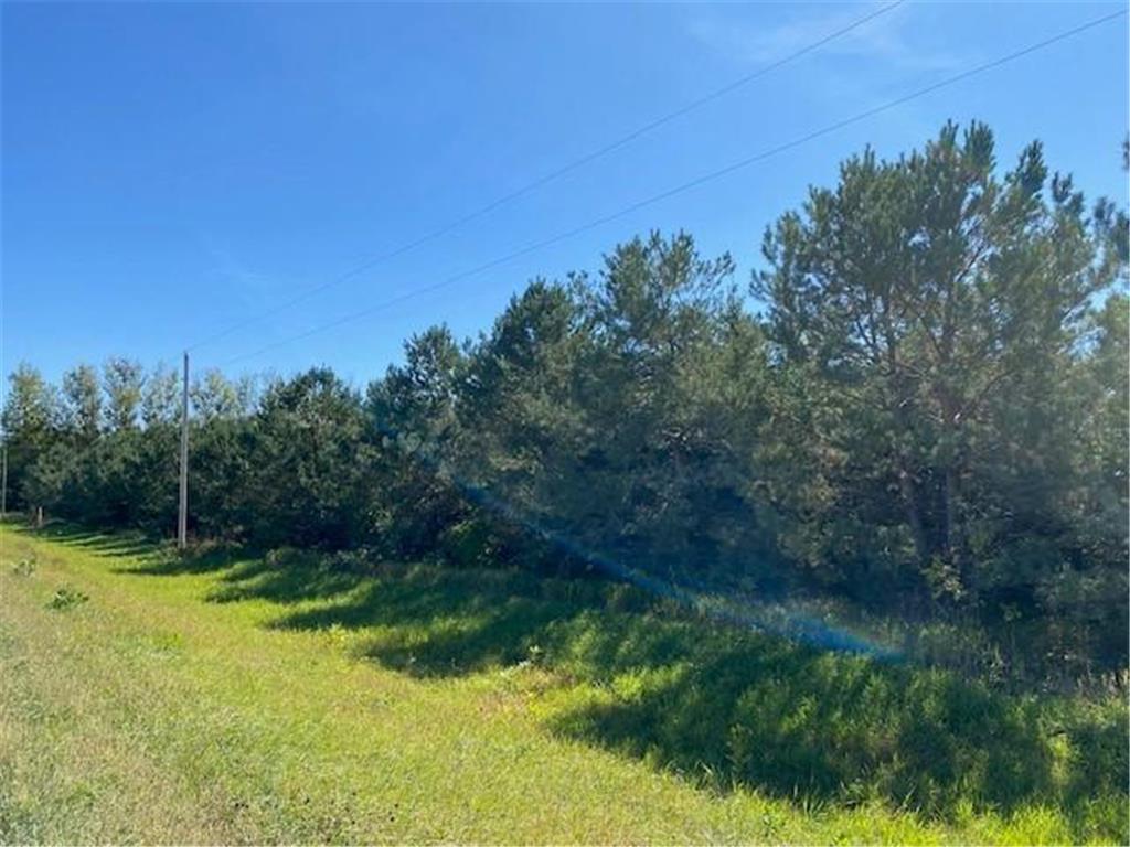 Lot 1 140th Street Glencoe MN 55336 6433783 image1