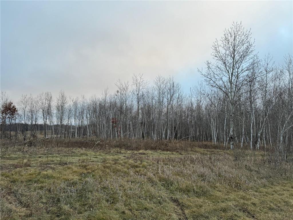 Lot 1 15th Avenue Osceola WI 54020 6478681 image1