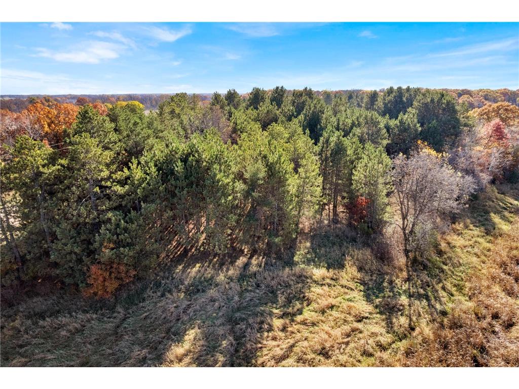 Lot 1 175th Avenue SE Becker MN 55308 7069013 image37