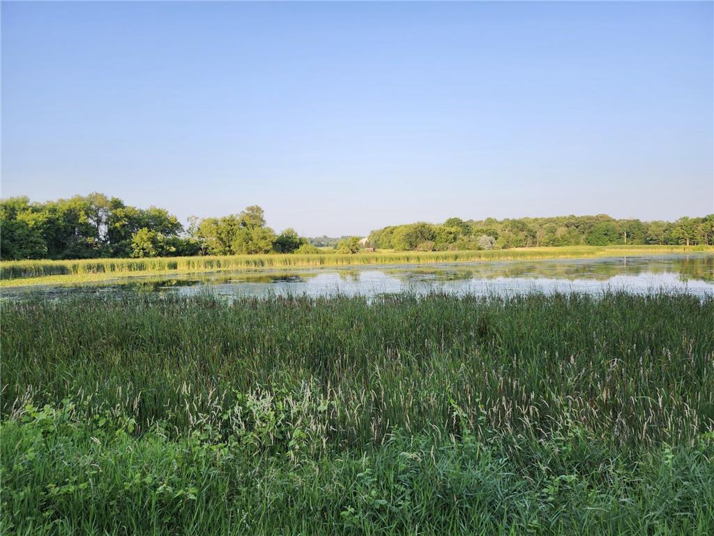 Lot 1 20th Avenue Deer Park WI 54007 6754677 image3