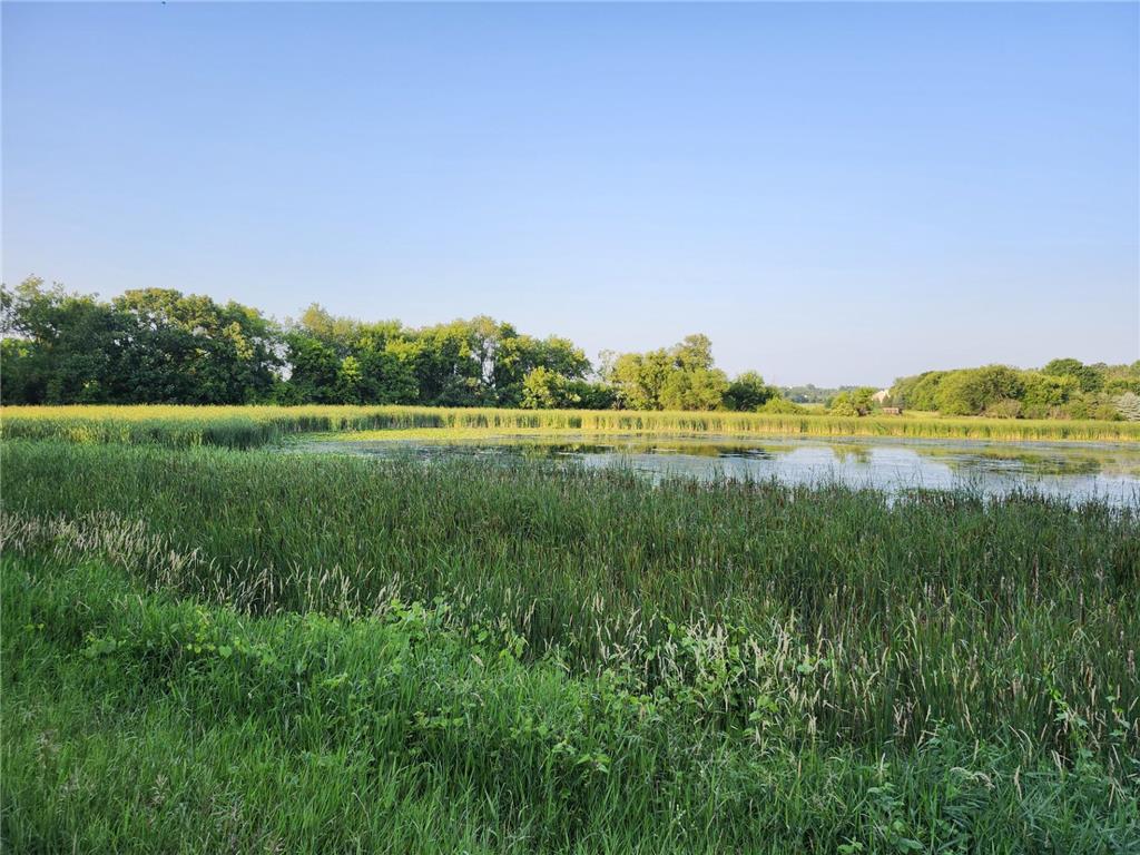 Lot 1 20th Avenue Deer Park WI 54007 6754677 image4