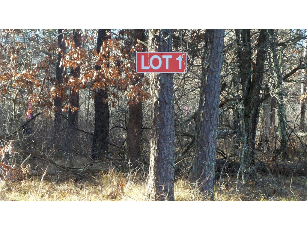 Lot 1 275th St Sterling Twp WI 54024 6642187 image1