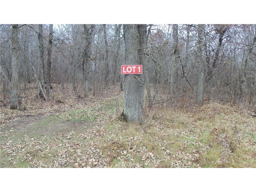 Lot 1 300th St Sterling Twp WI 54024 6815712 image1