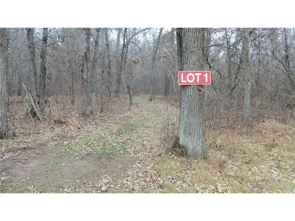 Lot 1 300th St Sterling Twp WI 54024 6815712 image2