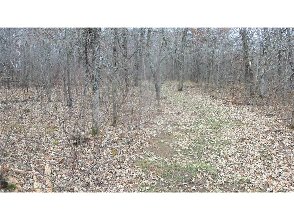 Lot 1 300th St Sterling Twp WI 54024 6815712 image3