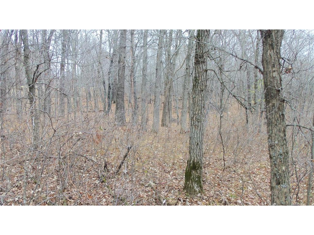 Lot 1 300th St Sterling Twp WI 54024 6815712 image5