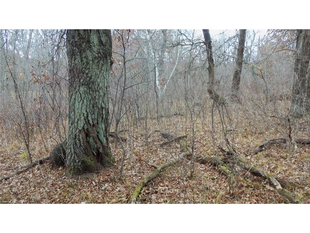 Lot 1 300th St Sterling Twp WI 54024 6815712 image6