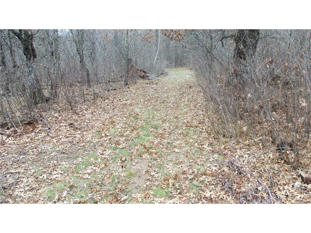 Lot 1 300th St Sterling Twp WI 54024 6815712 image7