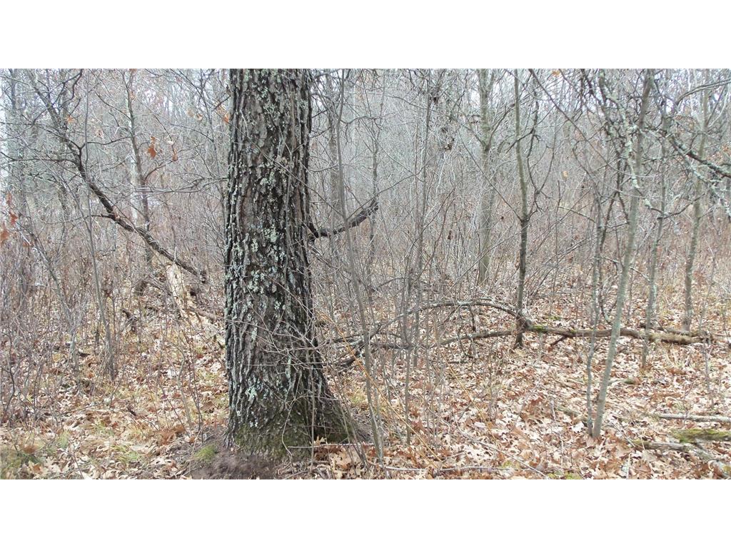 Lot 1 300th St Sterling Twp WI 54024 6815712 image8